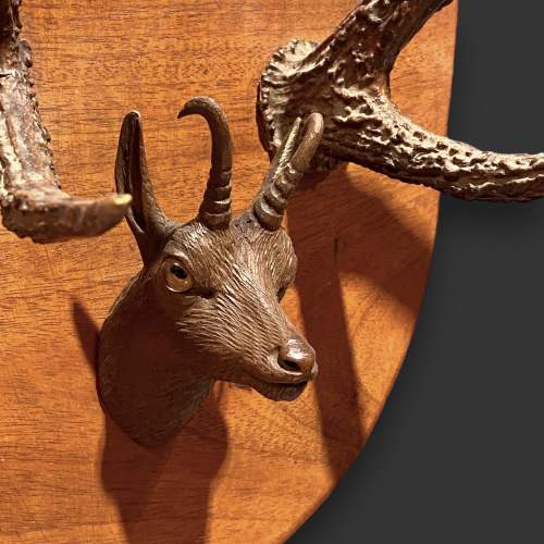 Mahogany Mounted Antlers with Carved Chamois Deer Head image-4
