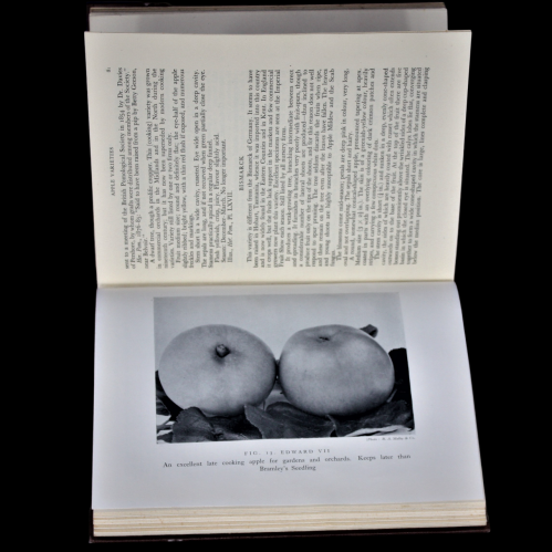 The Apples of England Mid 20th Century Book image-2