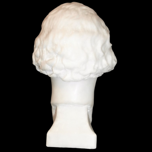 20th Century English School of Marble Head of a Young Lady image-4