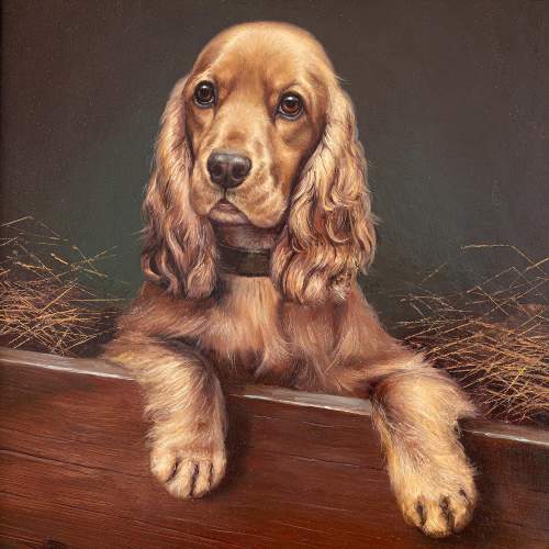 Late Victorian Oil Painting of a Cocker Spaniel image-2