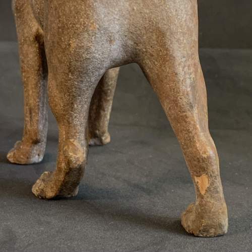 Late 19th Century Austrian Terracotta Pug Dog image-5