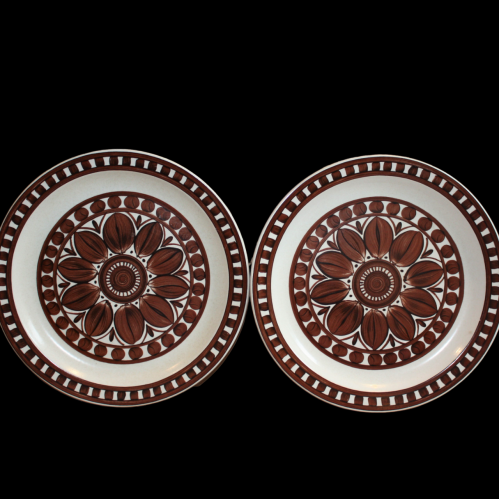 2 Retro Midwinter 26cms Plates - Rare Brown Dahlia Medallion. 1972 image-1