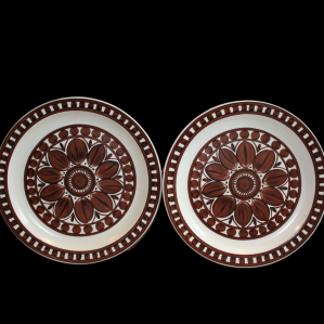 2 Retro Midwinter 26cms Plates - Rare Brown Dahlia Medallion. 1972