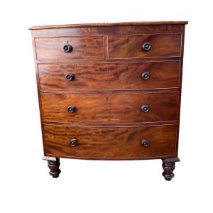 A Fine Georgian Flame Mahogany Bow Front Chest of Drawers