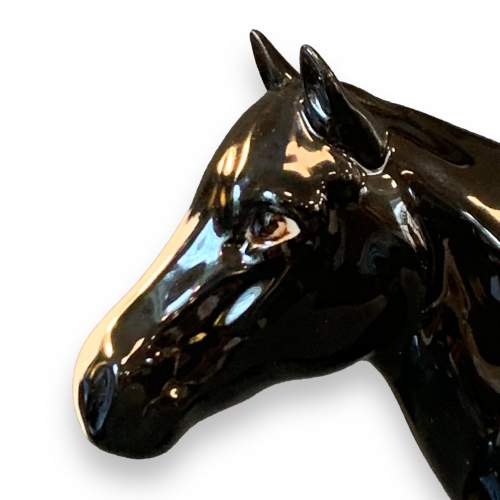 Beswick Model of a Dales Pony image-5
