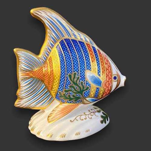 Royal Crown Derby Pacific Angel Fish Figurine image-2