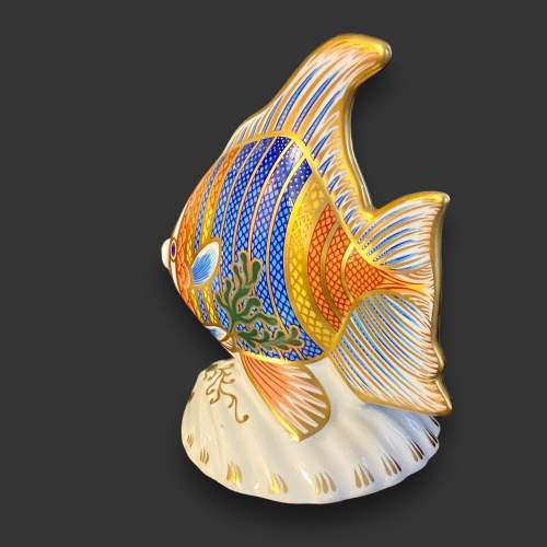 Royal Crown Derby Pacific Angel Fish Figurine image-3
