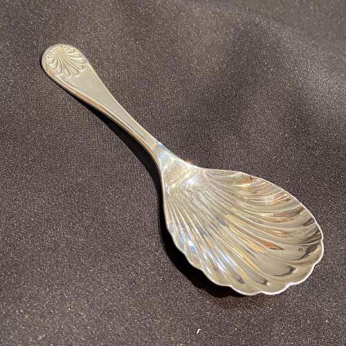 20th Century Silver Shell Caddy Spoon image-1