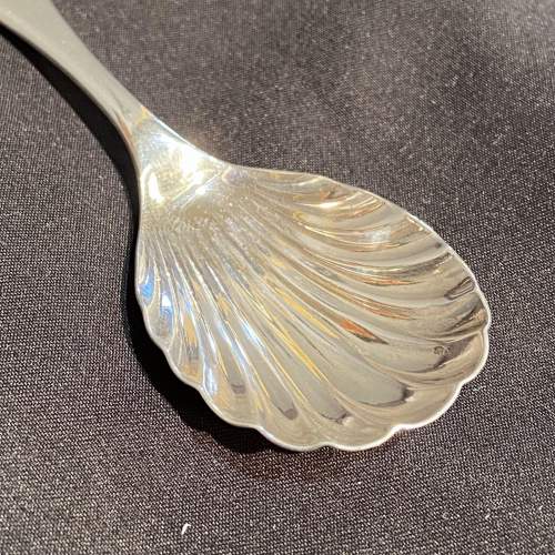 20th Century Silver Shell Caddy Spoon image-2
