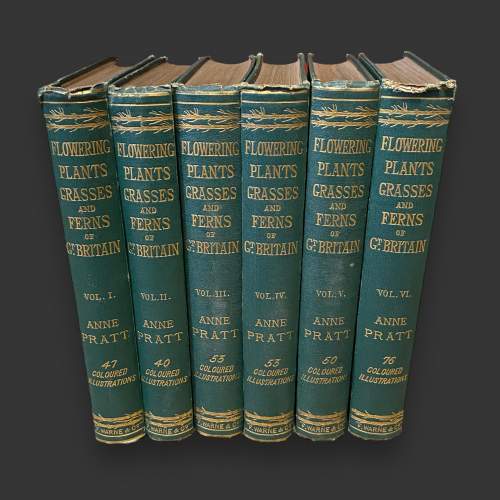 Six Volumes of Flowering Plants of Great Britain image-2
