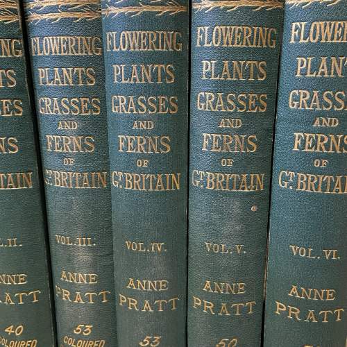 Six Volumes of Flowering Plants of Great Britain image-4