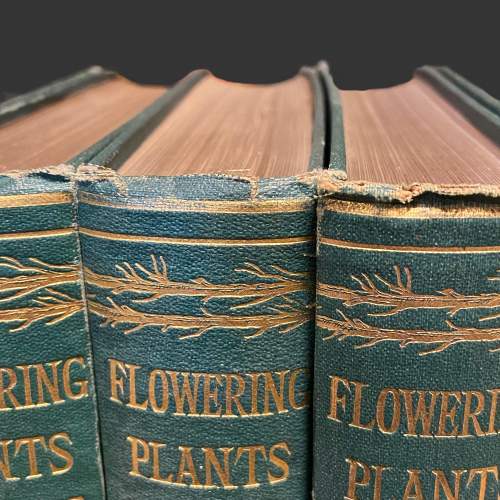 Six Volumes of Flowering Plants of Great Britain image-6
