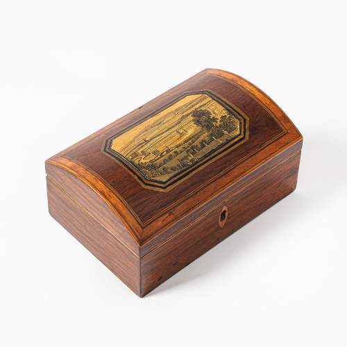 A George IV Period Antique Rosewood and Satinwood Box image-2