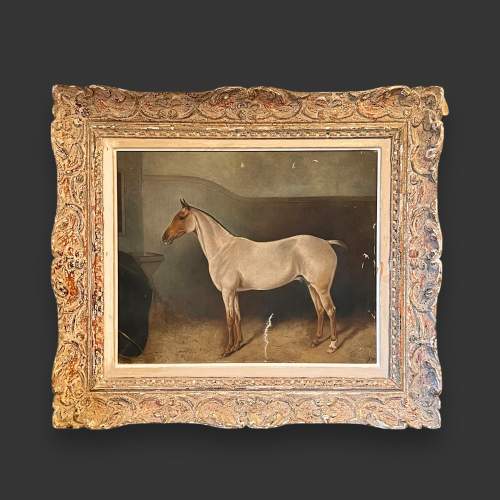 19th Century British School Oil on Canvas of a Stallion image-1