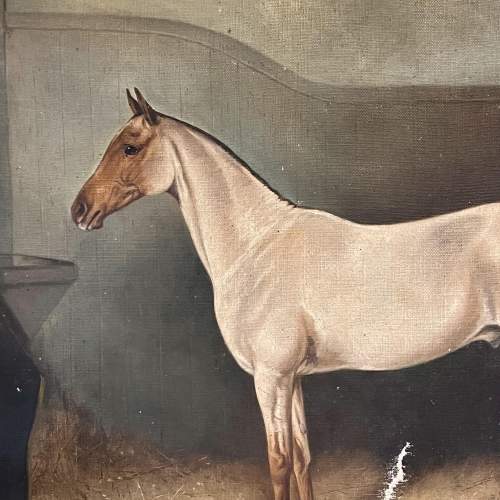 19th Century British School Oil on Canvas of a Stallion image-2