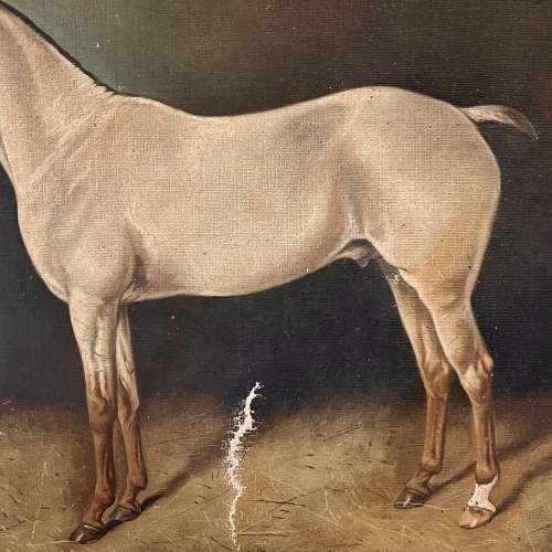 19th Century British School Oil on Canvas of a Stallion image-4