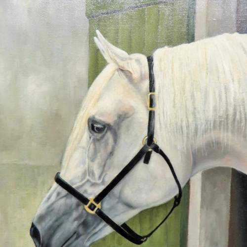 Oil on Board of a White Horses Head image-1