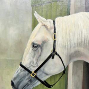 Oil on Board of a White Horses Head