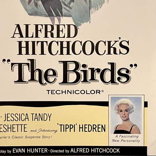 Framed Advertising Poster Board for Alfred Hitchcocks the Birds image-3