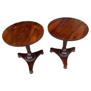 Pair of Rosewood Low Wine Tables