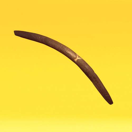 Very Large Australian Boomerang with Native Animal Carving image-1