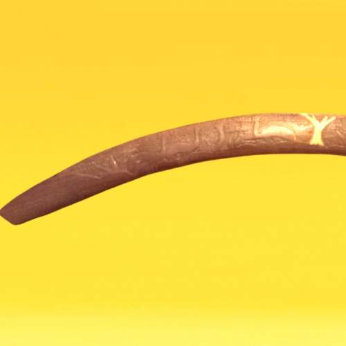 Very Large Australian Boomerang with Native Animal Carving image-3