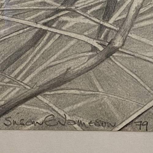 Susan J Jameson Pencil Drawing of The Tree No.25 image-2