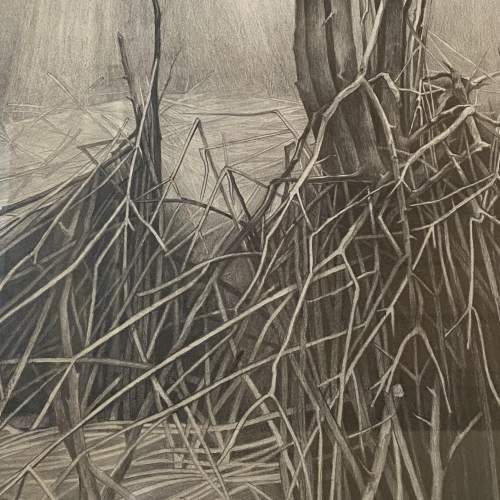 Susan J Jameson Pencil Drawing of The Tree No.25 image-3
