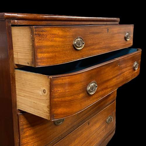 Regency Mahogany Bow Fronted Chest of Drawers image-3