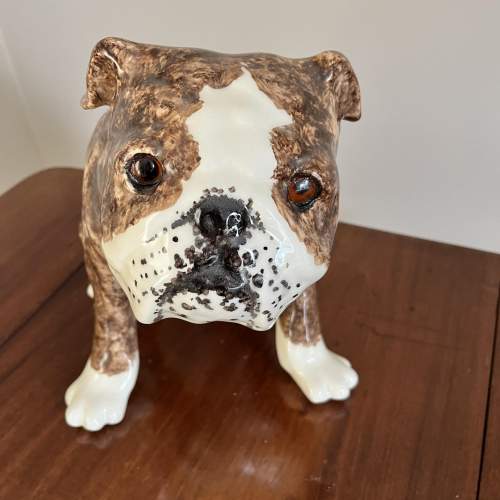 A Large Winstanley Bulldog with Cathedral Glass Eyes image-2