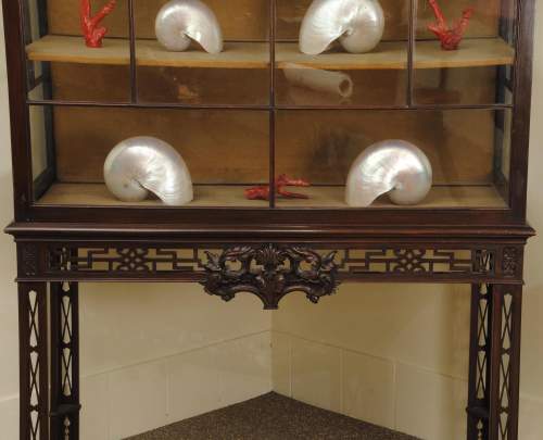 19th Century Chippendale Design Display Cabinet image-2