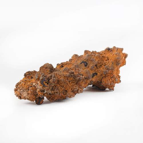 Piece of Fossilized Dinosaur Feces image-1