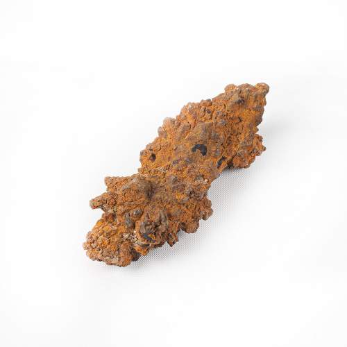 Piece of Fossilized Dinosaur Feces image-2
