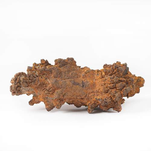 Piece of Fossilized Dinosaur Feces image-3