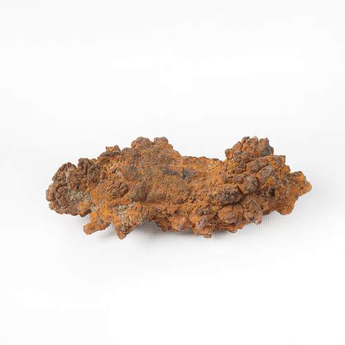 Piece of Fossilized Dinosaur Feces image-4