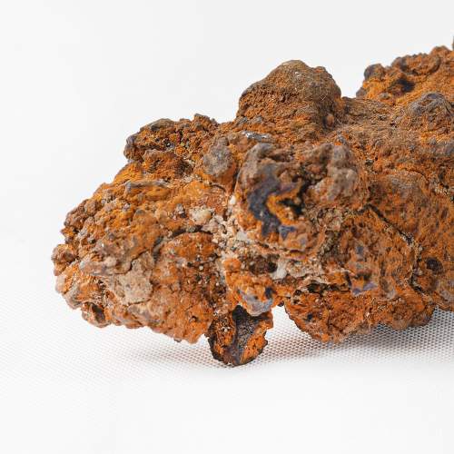 Piece of Fossilized Dinosaur Feces image-5