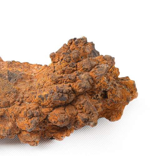 Piece of Fossilized Dinosaur Feces image-6
