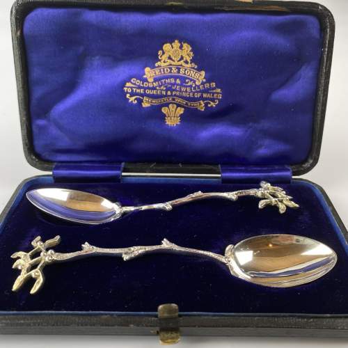 A Pair of Silver Victorian Teaspoons with Mistletoe Finials image-6