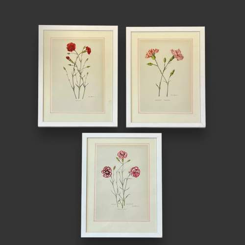 Set of Three Vintage Botanical Prints image-1