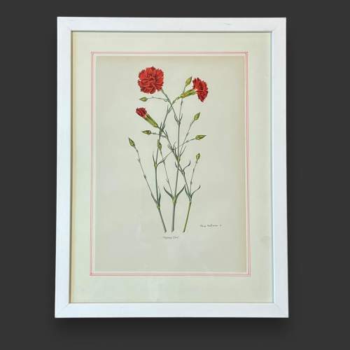 Set of Three Vintage Botanical Prints image-4