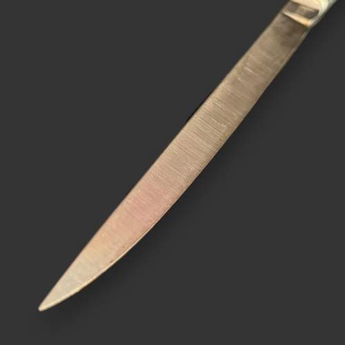 Cased 19th Century Surgical Knife image-4