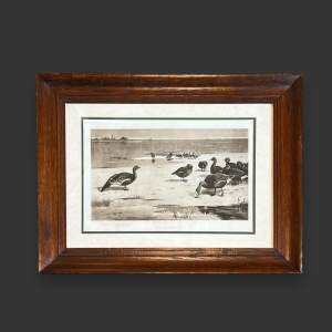 Antique Archibald Thorburn Unapproachable Geese Engraving