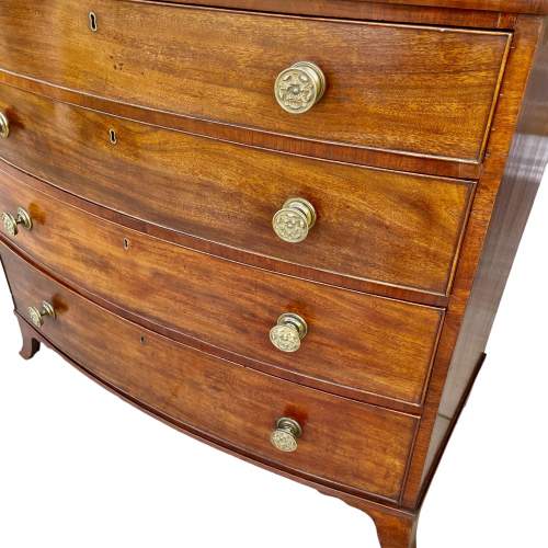 Regency Chest of Drawers image-3