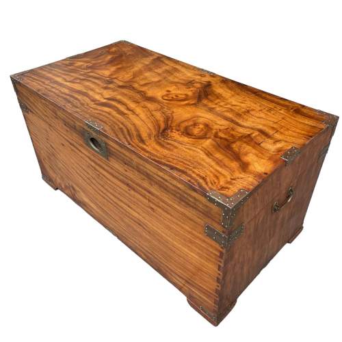 19th Century Military Camphor Wood Chest image-2