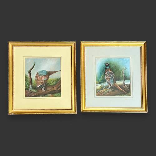 Pair of Watercolour Paintings of Pheasants by Steve Langford image-1