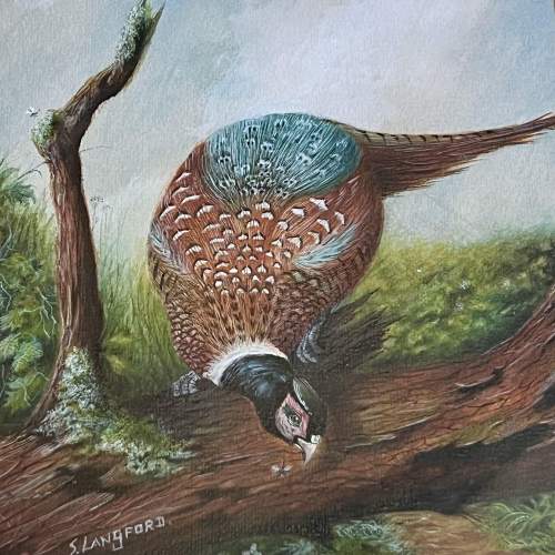 Pair of Watercolour Paintings of Pheasants by Steve Langford image-2