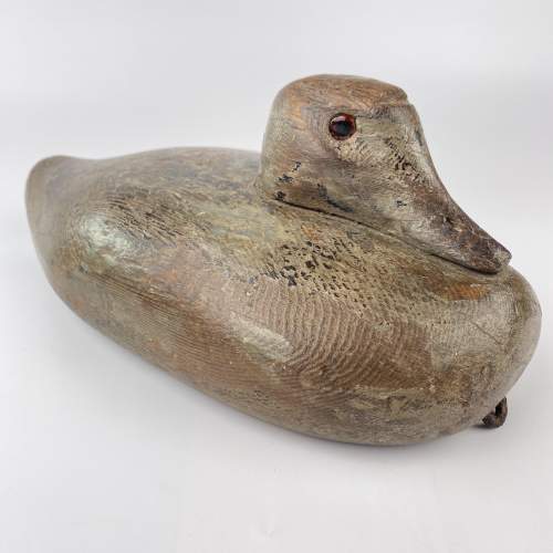 Large Decoy Duck with Wonderful Character image-2