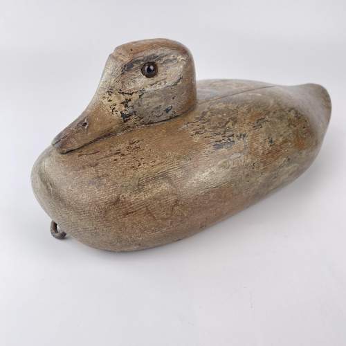 Large Decoy Duck with Wonderful Character image-3
