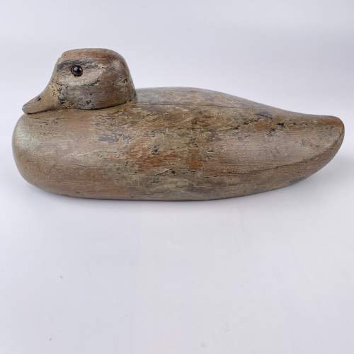 Large Decoy Duck with Wonderful Character image-6