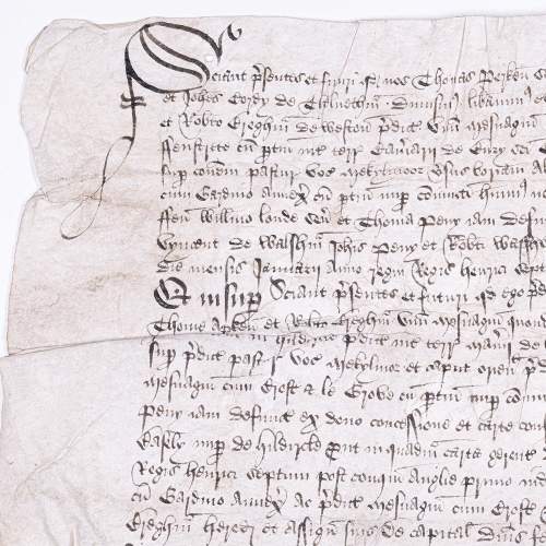 Original Antique 16th Century English Document Written in Latin image-2